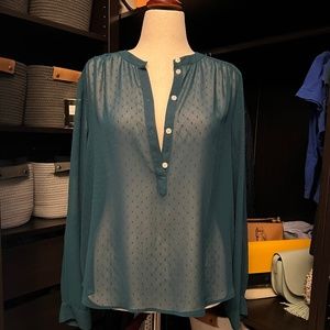 J Crew Sheer Blouse